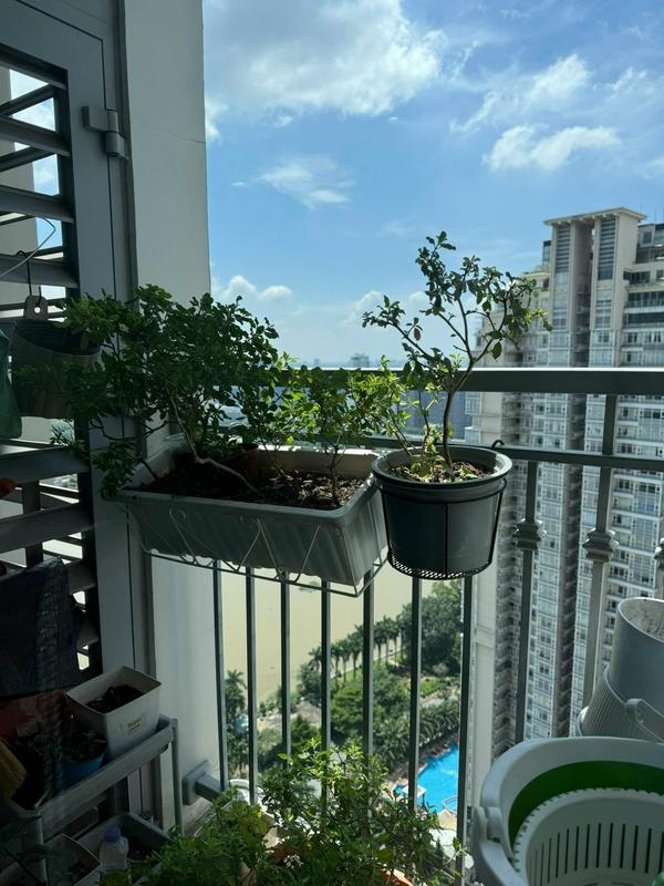 Bán C2-03 giá 7,5 Tỷ View Sông, Pháp lý Sổ hồng.