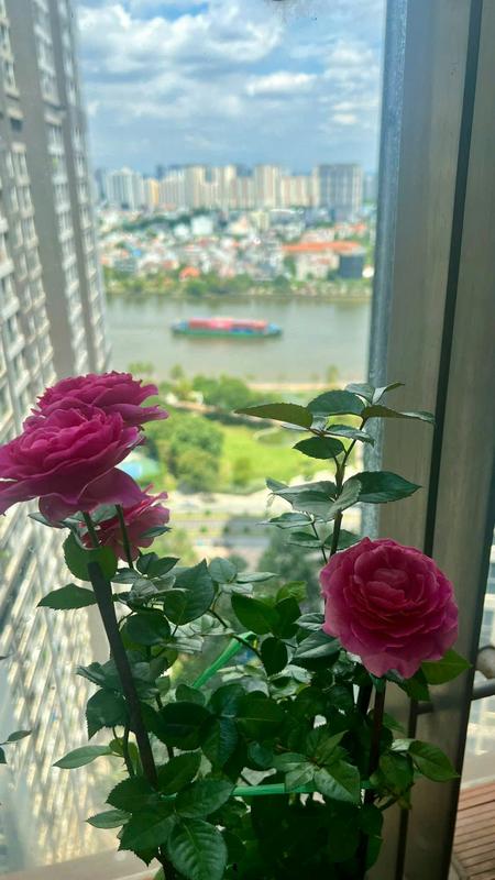 Bán P7-10 giá 15 tỷ View Sông Công Viên, Sổ Hồng lâu dài, đầy đủ nội thất