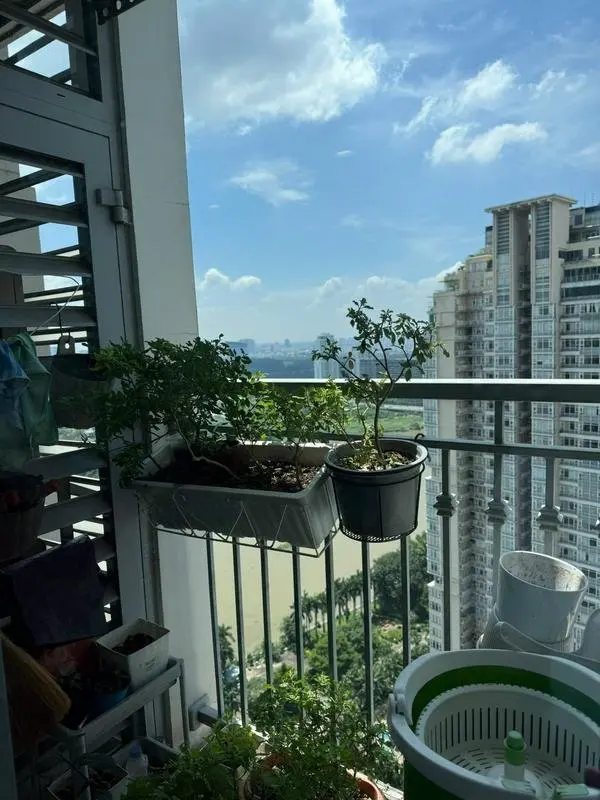 Căn 1PN Hiện Đại view sông, Central 2
